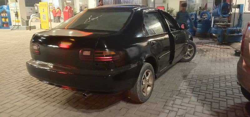 civic-95-dolfin-for-new-hom-big-5