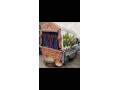 suzuki-ravi-2-small-2