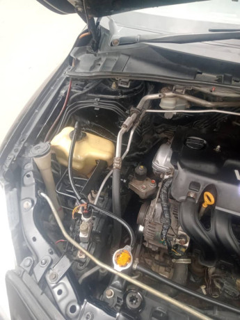 toyota-gli-2009-big-8