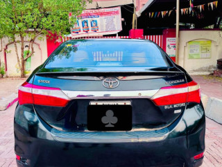 corolla