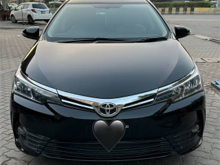 toyota-xli-20192020-bumper-to-bumper-original