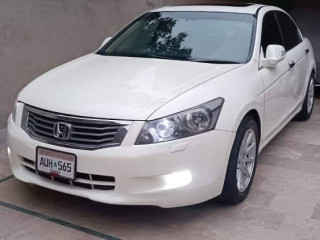 honda-accord-2010