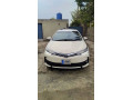 altis-grande-2020-total-genuine-34-touching-just-small-0