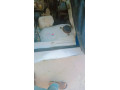 suzuki-bolan-03068607296-small-11