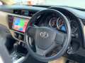 carolla-gli-automatic-13-cc-small-16