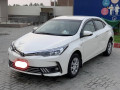 carolla-gli-automatic-13-cc-small-2