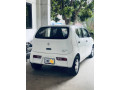 alto-vxr-2023-small-11