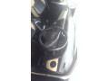 toyota-corolla-gli-small-5
