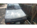 charade-car-hy-andar-sy-janian-he-chat-pelar-ganian-hy-03037029040-small-1