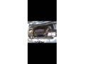 car-urgent-sell-top-condition-small-3