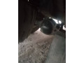 foton-mzda-for-eggs-carriage-small-5
