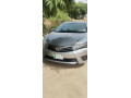 201415-model-small-2