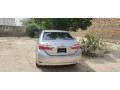 201415-model-small-11