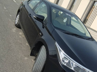 gli-2019
