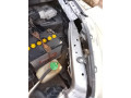 suzuki-wegner-small-7