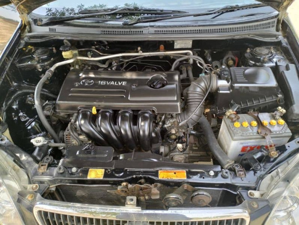 se-saloon-big-7