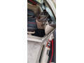 toyota-corolla-xli-2006-small-5