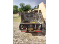 suzuki-ravi-for-sale-in-good-condition-small-2
