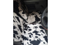 suzuki-mehran-small-0