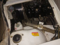 suzuki-bolan-2020-small-1