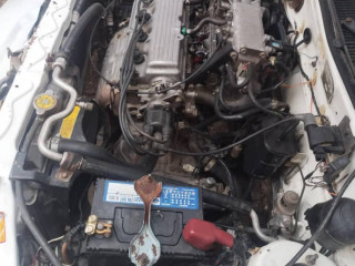 caltus-17-model-janven-condition-03084213500