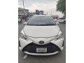 vitz-2018-small-0