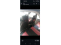 suzuki-mehran-vxr-2012-small-1