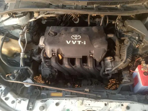 toyota-corolla-xli-2009-toyota-corolla-car-for-sale-big-5