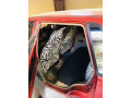 suzuki-mehran-vx-euro-ii-small-5