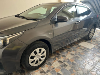 gli