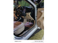 toyota-yaris-sedan-mt-13-2021-5000-km-drive-only-small-2