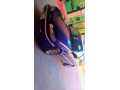 hyundai-excel-basegrade-small-1
