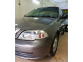 suzuki-caltus-small-0