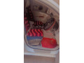 toyota-corolla-gli-2009-small-16