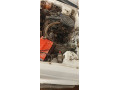 nissan-sunny-1988-small-4