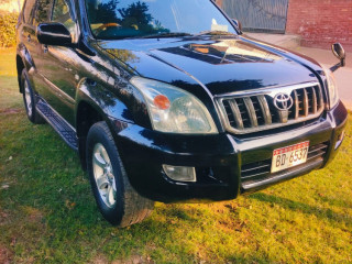 prado-507-limited-edition