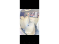 daihatsu-move-20132016-urgent-sale-small-9