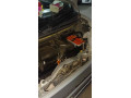 honda-n-box-plus-2017-small-6