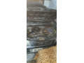 suzuki-alto-vxr-2012-cng-islamabad-register-small-9