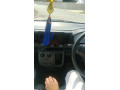 suzuki-alto-2024-small-5