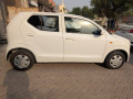 full-option-small-5