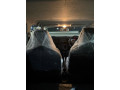 suzuki-alto-2022-small-13