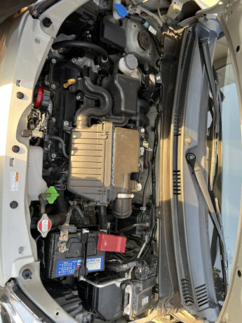 suzuki-alto-big-1