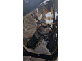 toyota-corolla-gli-2009-small-1