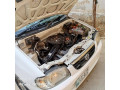 suzuki-alto-2007-small-14