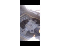 toyota-vitz-2007-small-19