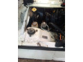 suzuki-bolan-2010-small-12