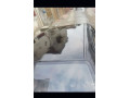 honda-civic-vti-1995-small-5
