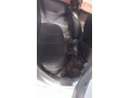 toyota-vitz-small-4